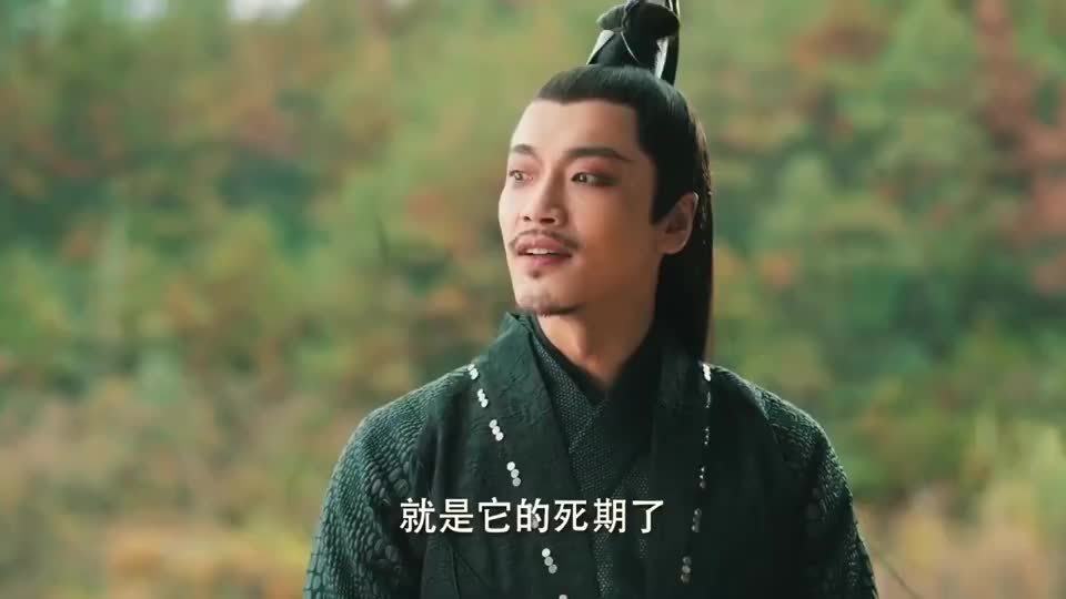 刁钻似凶着、打一生肖:详细解释落实