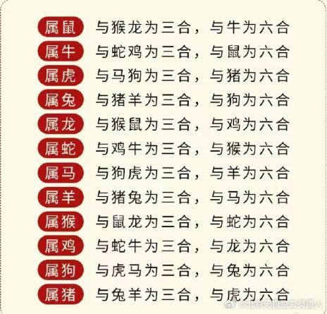 前世姻缘四八合是什么生肖:答案解释落实 前世姻缘四八合是什么生肖:答案解释落实