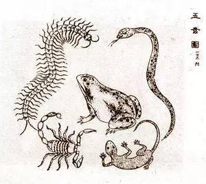 仰屋兴叹,揭秘生肖背后的文化寓意 仰屋兴叹,揭秘生肖背后的文化寓意