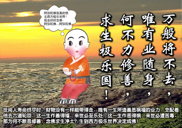 苦海无涯打一个正确生肖、解释与落实