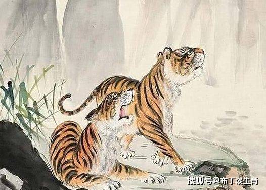 仰屋兴叹是什么生肖:详细解释落实