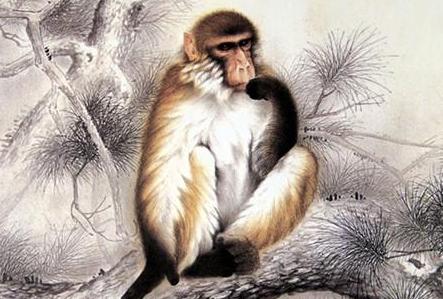 一身正气打一准确生肖、热议作答落实解释 一身正气打一准确生肖、热议作答落实解释