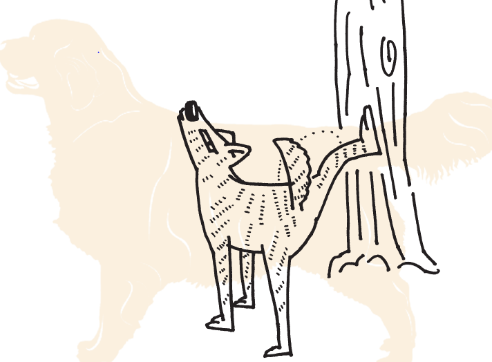 前仰后合打一准确生肖、全面作答落实解释 前仰后合打一准确生肖、全面作答落实解释