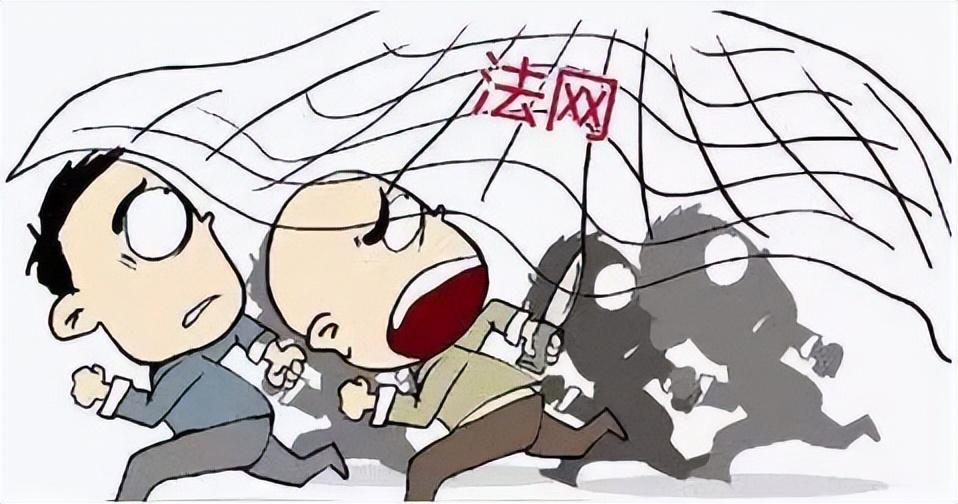 揭秘天网恢恢背后的生肖奥秘与组合解释的落实 揭秘天网恢恢背后的生肖奥秘与组合解释的落实