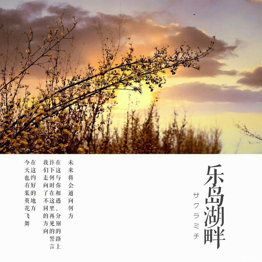 遥知兄弟登高处，生肖之谜的温馨解读