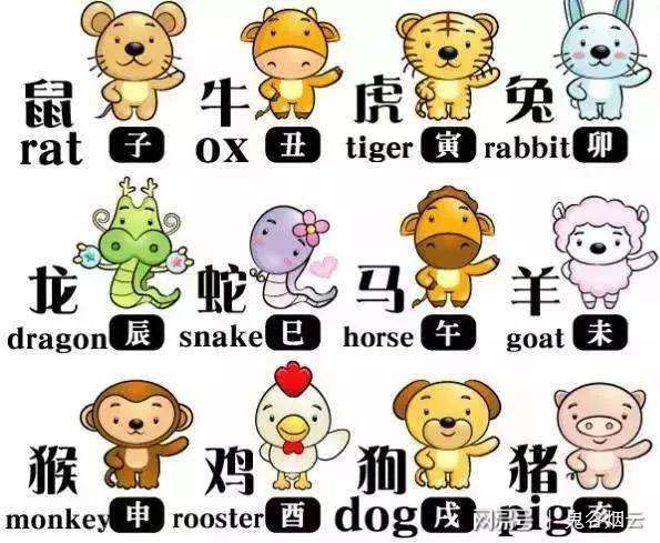 梦断魂消,揭秘生肖背后的故事与寓意 梦断魂消,揭秘生肖背后的故事与寓意