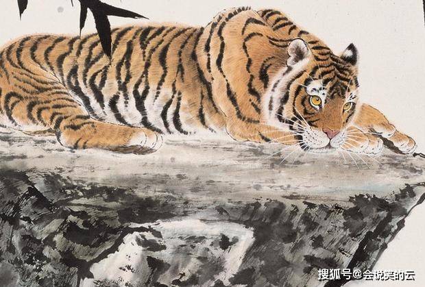 铿锵有力与惠泽落实,生肖虎的坚韧与担当 铿锵有力与惠泽落实,生肖虎的坚韧与担当