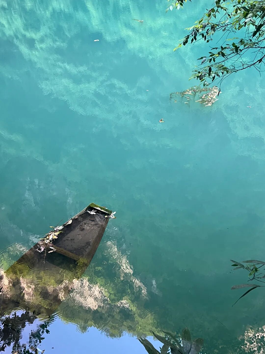 江水如蓝一片绿是什么生肖、谁来落实解答