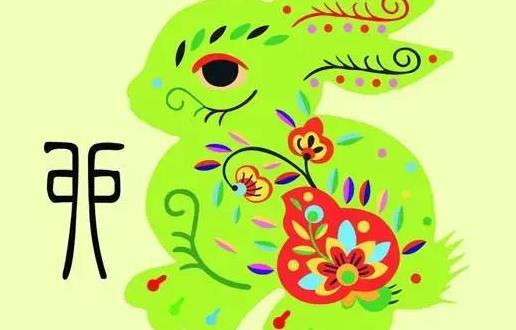 知情不报,生肖之谜的精彩解读 知情不报,生肖之谜的精彩解读