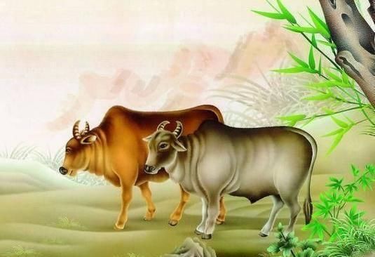 忍辱负重的生肖,以牛为例的创造、解释与落实 忍辱负重的生肖,以牛为例的创造、解释与落实