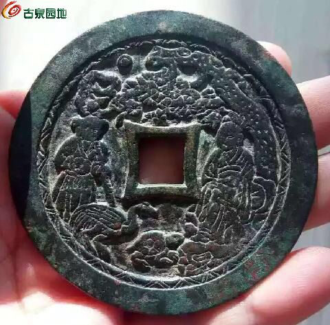 龟鹤之年与生肖的奥秘，团结、解释与落实的力量