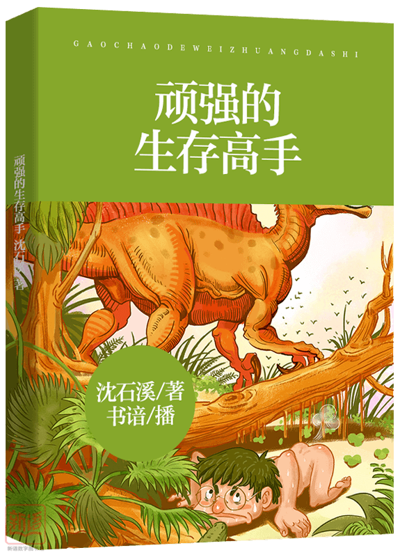 风水宝地与生肖之谜,探寻鼠年背后的奥秘 风水宝地与生肖之谜,探寻鼠年背后的奥秘