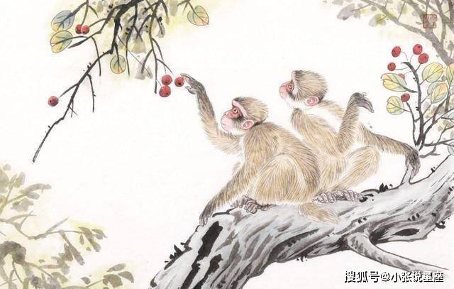 扬名后世是什么生肖、各种各样解释落实 扬名后世是什么生肖、各种各样解释落实