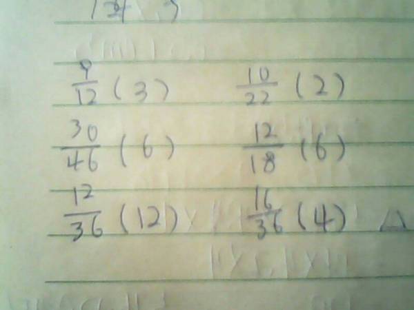 揭秘三跪九叩背后的生肖谜题，谁来落实解答？