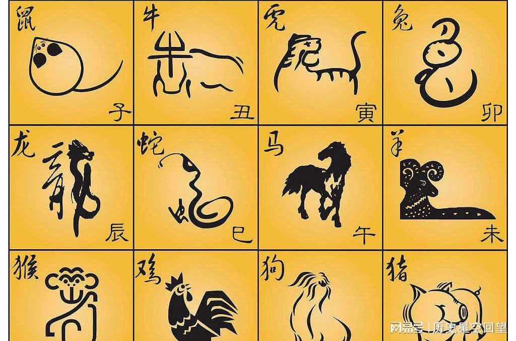 手足相连,生肖中的独特寓意 手足相连,生肖中的独特寓意