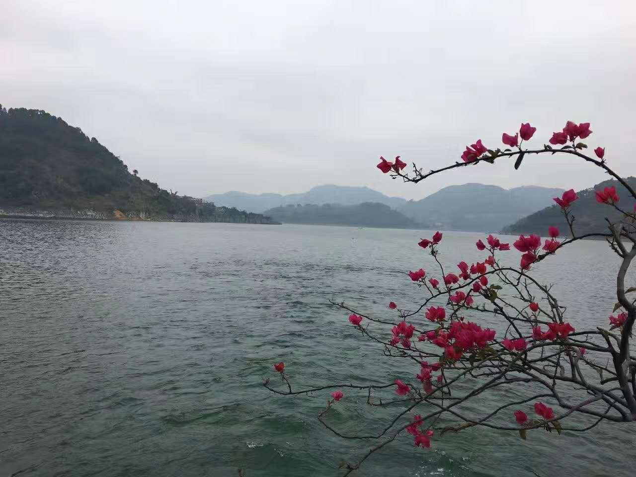 跋山涉水觅真知—探寻跋山涉水背后的生肖奥秘 跋山涉水觅真知—探寻跋山涉水背后的生肖奥秘
