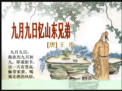 遥知兄弟登高处，生肖之谜的温馨解读