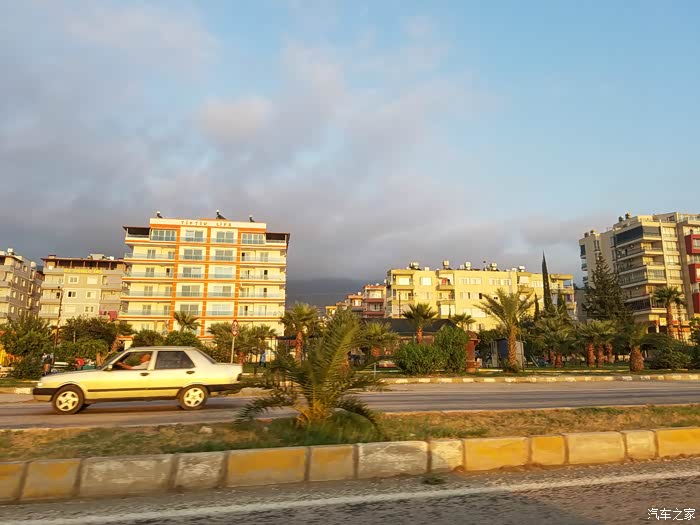 秀外慧中,生肖动物中的智慧与美貌并重 秀外慧中,生肖动物中的智慧与美貌并重