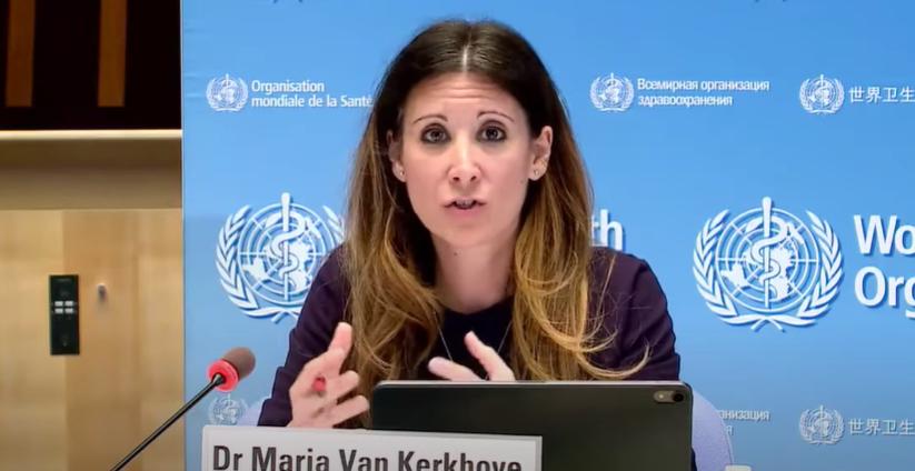 世卫组织深入调查,禽流感是否人传人引发全球热议与防控措施落实 世卫组织深入调查,禽流感是否人传人引发全球热议与防控措施落实