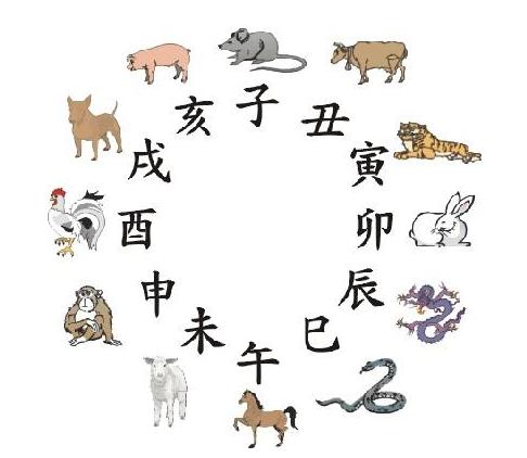 四目相对的生肖之谜,深度解析与文化解读 四目相对的生肖之谜,深度解析与文化解读