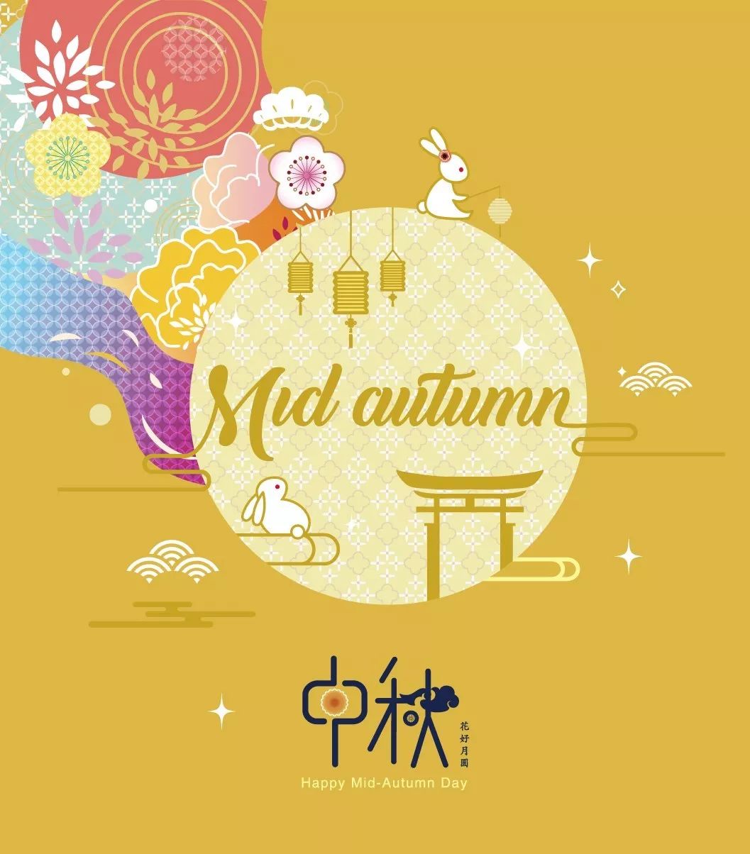 良辰美景与生肖的奥秘，一场文化与智慧的深度探索