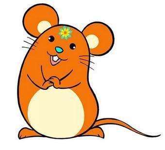 解读两头担心的生肖寓意,专业视角下的文化解析 解读两头担心的生肖寓意,专业视角下的文化解析