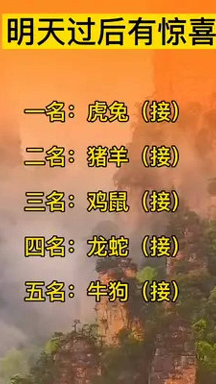 锦上添花,精准解答与落实的生肖智慧 锦上添花,精准解答与落实的生肖智慧