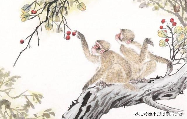 满坐寂然是什么生肖:全面揭晓解释落实 满坐寂然是什么生肖:全面揭晓解释落实