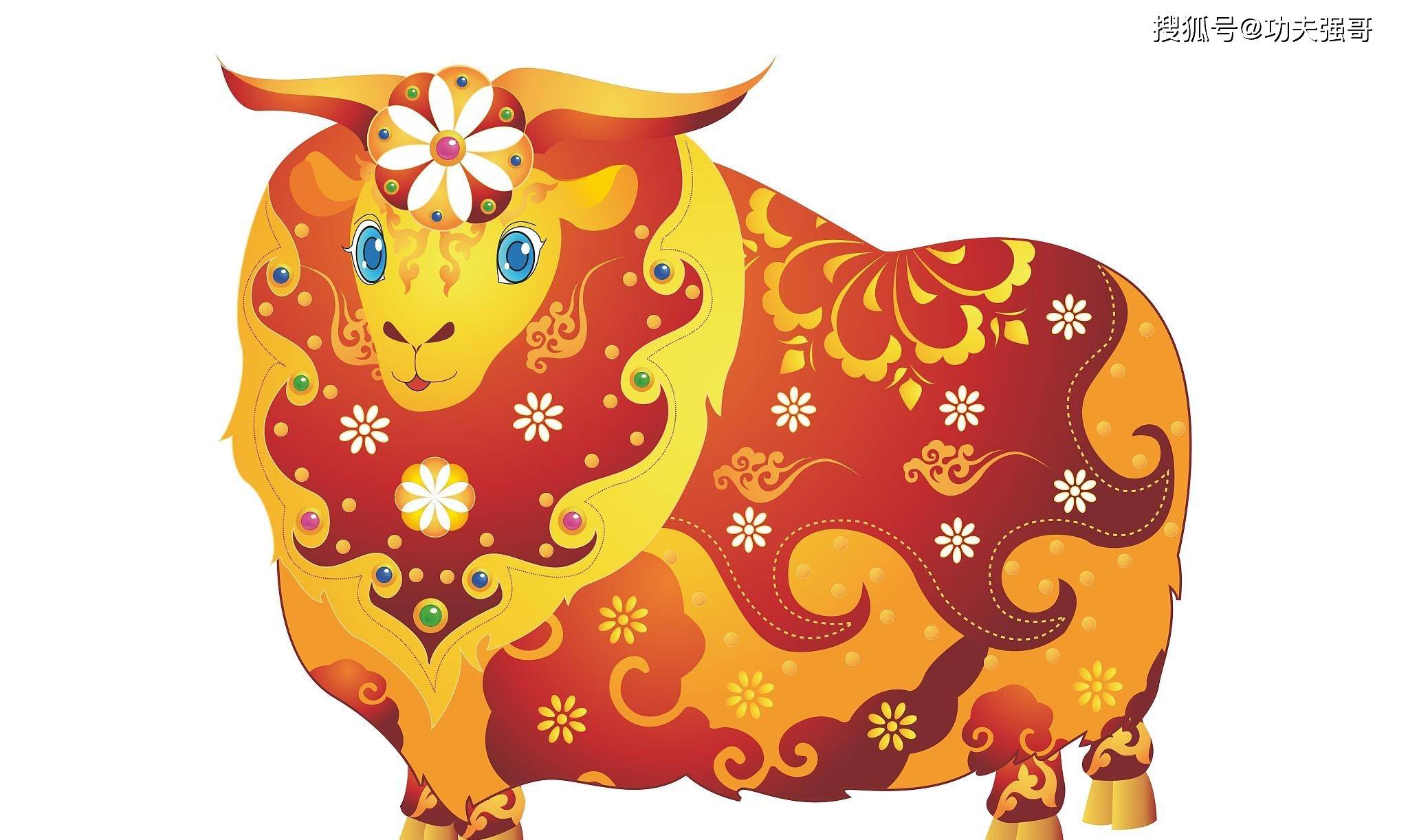 揭秘华而不实的生肖，探寻背后的真相与落实之道