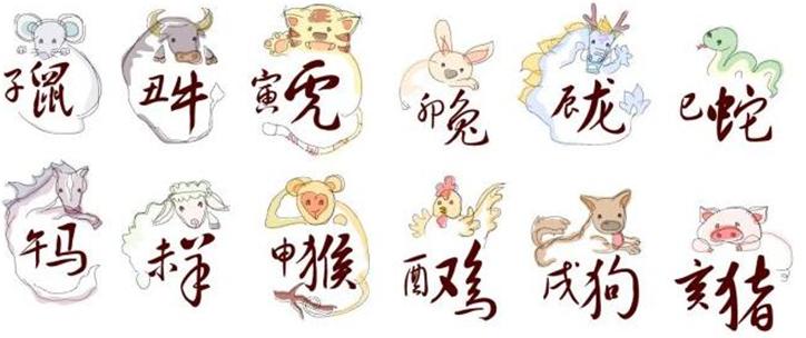 孤苦伶仃，生肖之谜的经典解释