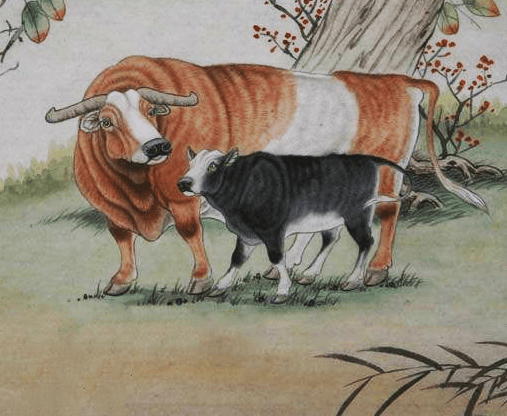 揭秘说长道短背后的生肖玄机，精准作答，落实解释