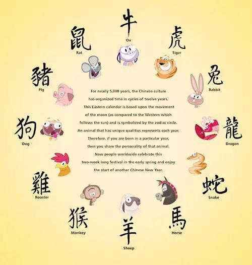 量如江海,生肖之谜的经典解读与现实应用 量如江海,生肖之谜的经典解读与现实应用