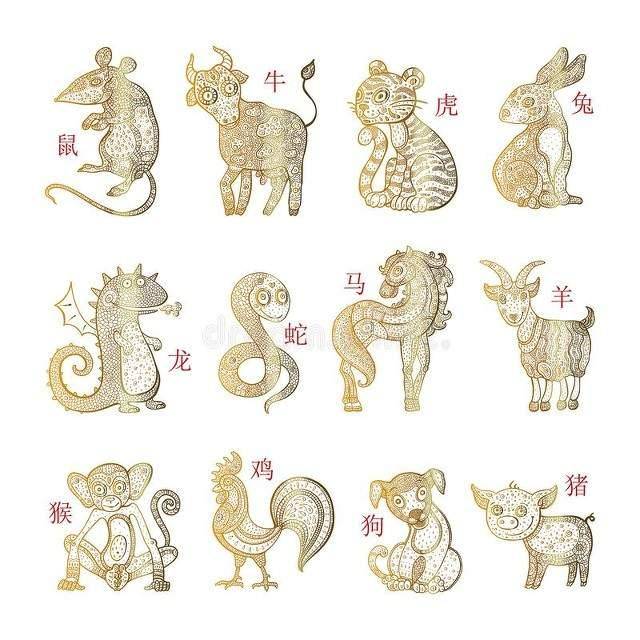 相机而行打一生肖:权威揭晓落实 相机而行打一生肖:权威揭晓落实