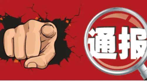 违天逆理是什么生肖、能人作答落实解释