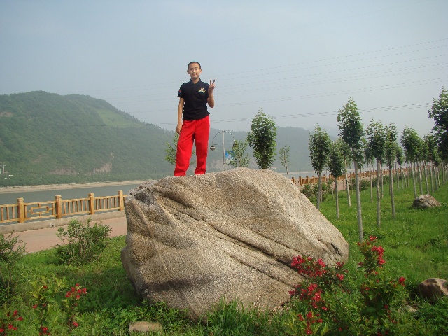 目光如豆，生肖之谜与惠泽作答的深刻寓意