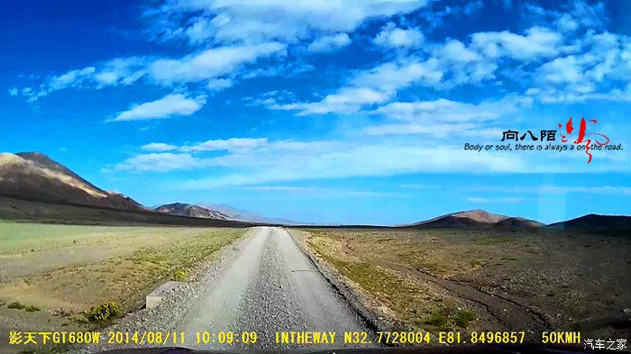 独行天下，揭秘生肖之马