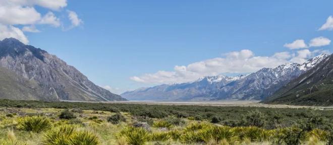 探寻生肖之谜，默默无闻中的形形色色与落实之道