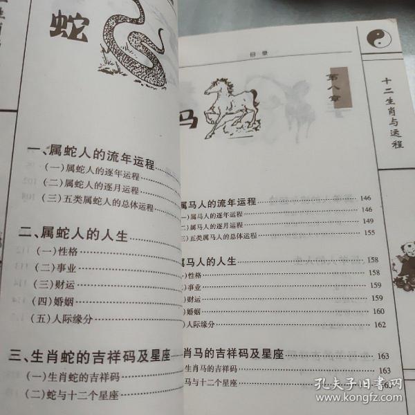 揭秘黑牛白角，权威解读与生肖之谜