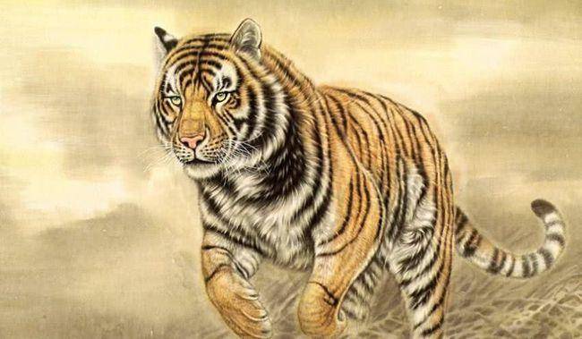 铿锵有力与惠泽落实,生肖虎的坚韧与担当 铿锵有力与惠泽落实,生肖虎的坚韧与担当