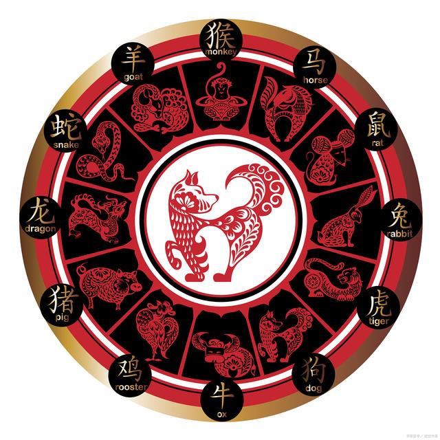 慎言慎行，揭秘最佳生肖的全面解读与落实