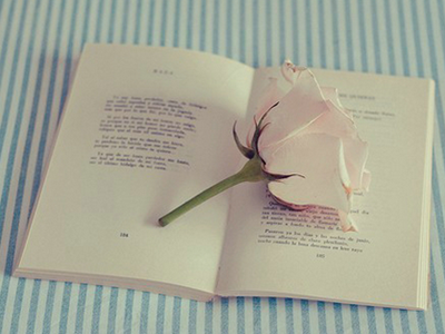 落花流水,生肖之谜的诗意解读 落花流水,生肖之谜的诗意解读