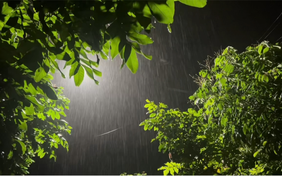 春光夏雨夜,解密生肖之谜 春光夏雨夜,解密生肖之谜