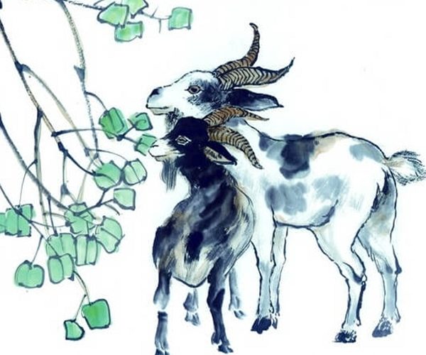 翻脸无情是什么生肖、新版本解释落实