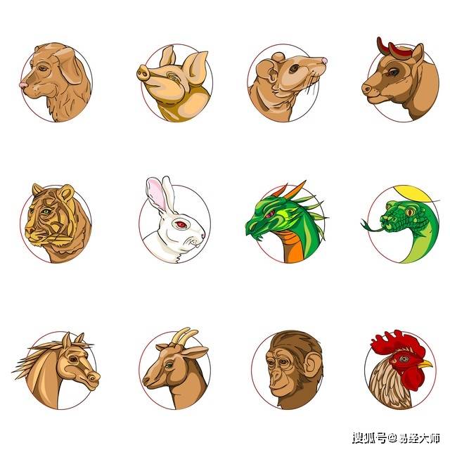 雄才盖世，揭秘生肖中的非凡之选