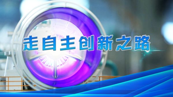 创新之路，生肖肖与实的融合与超越