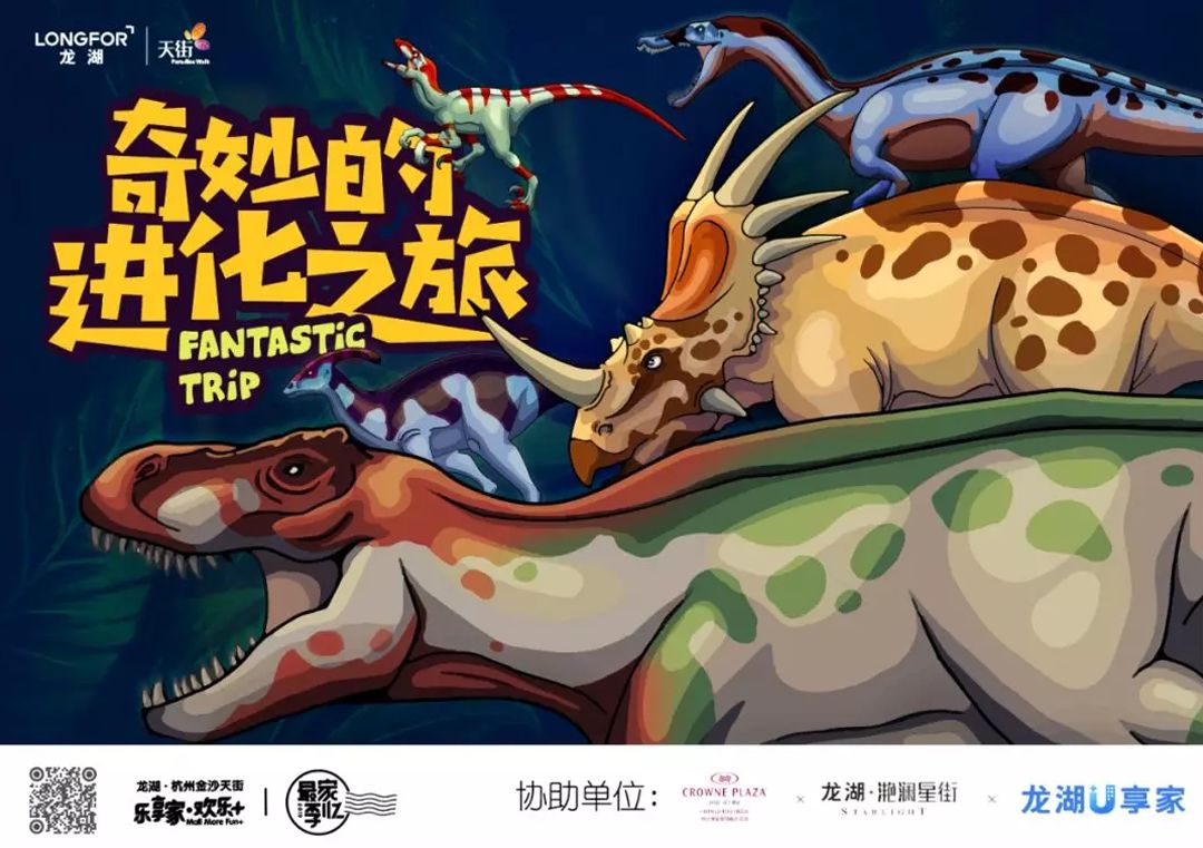 夜不闭户的生肖之谜，揭秘与第一解答的落实