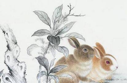 十二生肖中的福哥,属兔者的独特魅力与激励启示 十二生肖中的福哥,属兔者的独特魅力与激励启示