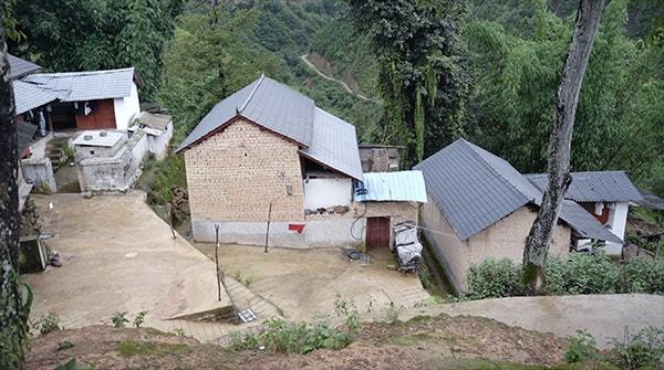 7000只活鸡暴死,养鸡场背后的理想与现实 7000只活鸡暴死,养鸡场背后的理想与现实