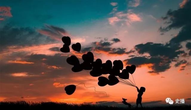 一比高下，揭秘生肖中的攀登者—猴子的不凡成就