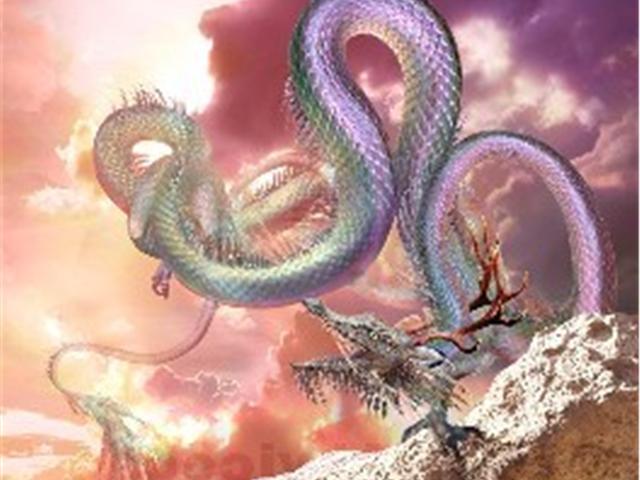 苦海无涯,揭秘生肖之谜 苦海无涯,揭秘生肖之谜